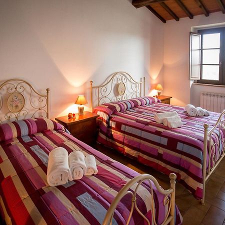 Coltavolino Agriturismo La Collina Del Sole מראה חיצוני תמונה